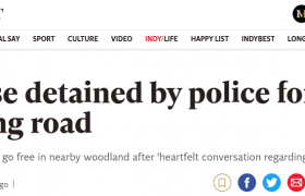乌龟也成了嫌疑犯！美国佛罗里达州警察闲得蛋疼逮捕乌龟