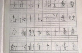 邹市明晒轩轩作文 皱市明儿子多少岁在哪里读书