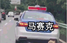 的哥开出租车遛狗是怎么回事？狗能跟得上车？