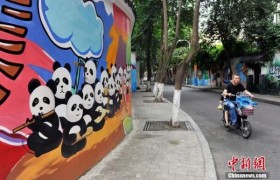 老巷子变身熊猫王国是什么意思？成都市民在金沙巷涂鸦一条街