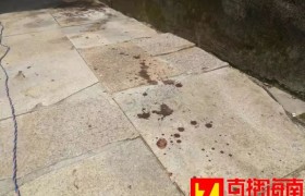 文昌市清澜南海村枪击案：男子枪杀前妻一家是什么仇恨？