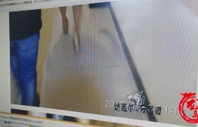 草榴是谁被抓了吗怎么判刑？草榴社区“CL分享团”管理员都有谁
