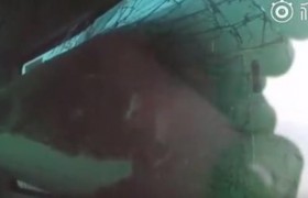 摆渡车倒车撞飞机是什么意思？什么是摆渡车