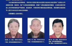 9旬老人成扫黑嫌犯是怎么回事？真相是什么最新消息