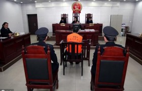 何龙被执行死刑，强奸幼女并强迫卖淫罪犯何龙案件最新消息