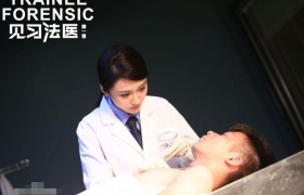 《见习法医》好看吗谁演的是好声音歌手陈冰吗