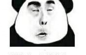 于小彤海陆吵架真的吗，我家那小子麦迪娜说了什么