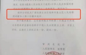 抓贼致贼死亡案追踪最新消息进展，最后怎么样了赔了多少钱