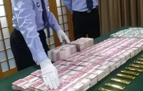 小区500万现金被盗最新消息盗贼捉到了是谁干的？