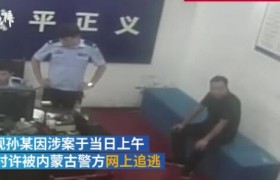 最短命网逃被抓是什么意思？为什么捉逃犯这么快