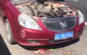 轿车自燃用西瓜灭火是怎么回事？西瓜也能灭火吗