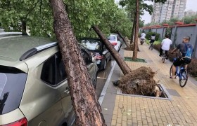 北京暴雨致多车被砸是什么情况咋回事？