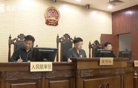 入室偷亲姐姐保险箱最新消息被判刑多少年偷了多少钱？