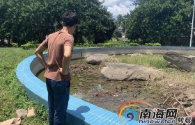男童被装麻袋扔花池凶手是谁抓到了吗是不是报复杀人