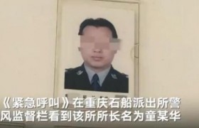 保时捷车主丈夫被免，保时捷女司机丈夫童小华被调查最后结果