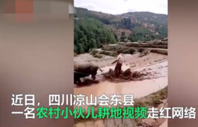 抖音四川凉山会东县乘风破浪耕牛小伙是谁是农民吗还是作秀炒作？