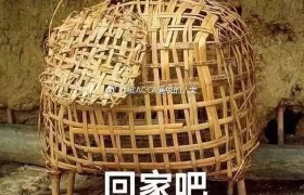 鸡笼警告是什么梗是什么意思什么出处怎么回怼神回复？
