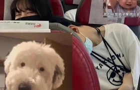 少年之名温州徐振轩个人资料家庭背景父母是干嘛的怎么出道的？
