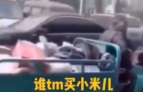 谁他妈买小米大爷是什么意思什么梗怎么火起来的原视频大爷是谁？