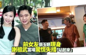 张玉嬿和谢祖武在一起过吗为什么分手了近况如何还联系吗