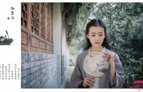 《烟花易冷》为什么被禁为啥搜不到了，为什么改名叫伽蓝雨