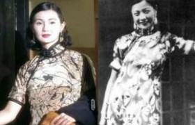 闲花野草逢春生音乐是什么意思出自哪里为什么说是灵异事件