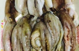 八爪鱼内脏哪些不能吃图解，八爪鱼的头和内脏吃了会怎样