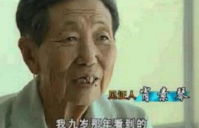 营口坠龙事件是怎么回事是真的假的是什么动物后台揭秘真相了吗