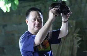 刘镇伟的编剧笔名为什么叫技安，刘镇伟编剧导演的电影有哪些