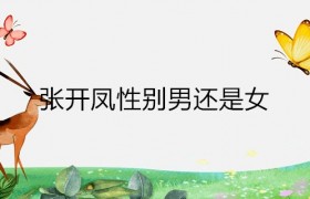 张开凤是男的还是女，张开凤做过变性手术吗后来怎么样了