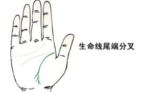 早死的手相图解照片，什么样的手相不好容易早死