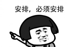 安排是什么意思什么梗出处是哪里谁先说的