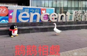 鹅厂和猪厂是什么意思什么梗指的是哪两家互联网公司