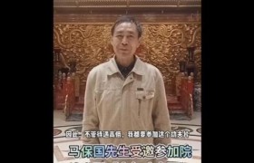 马保国参演的《少年功夫王》是部啥电影，马保国到底有没有功夫