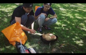 bbq是什么意思什么梗？人肉bbq啥意思表达什么？