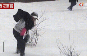 貂皮大衣怎么清洗干净？用雪怎么洗干净貂皮大衣？