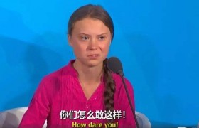 how dare you是什么意思什么梗中文翻译啥意思