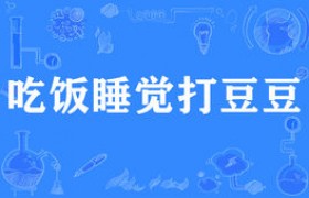吃饭睡觉打豆豆是什么意思什么梗出自哪里