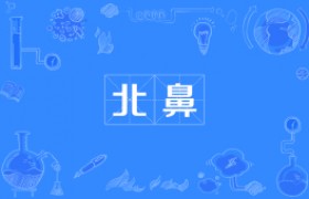 北鼻是什么意思是什么梗出自是哪里哪个地方叫北鼻