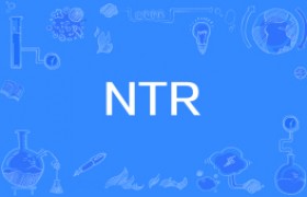 ntr是什么意思网络语言什么梗出自哪里啥含义