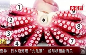 福岛核辐射变异生物真实照片，核辐射为什么会变异啥原理