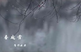抖音歌曲歌词我心匪石不可转 我心匪席不可卷是什么歌名谁唱的