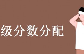英语四级分数分配，各种题型占分数的比例是多少