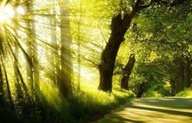 一句话挽留爱情，挽回爱情的语录句子大全
