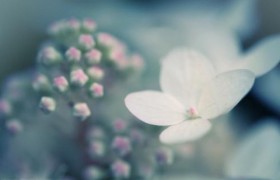 自我评价200字范文，怎么写自我评价