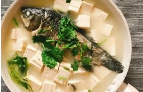 鲫鱼汤怎么炖好喝又营养，鲫鱼汤的做法和步骤详解