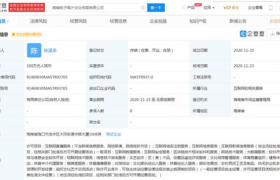 耗子尾汁公司成立谁是老板跟马保国有什么关系？