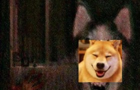 微笑狗是什么梗为啥这么恐怖？微笑狗看了会死人吗