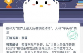 被称为世界上最无所畏惧的动物是什么？人称平头哥的动物