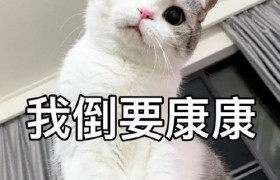 网络用语康康啥意思什么梗什么出处？女生叫男生康康是什么意思